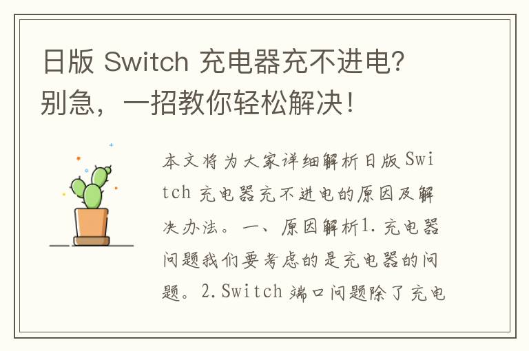 日版 Switch 充电器充不进电？别急，一招教你轻松解决！